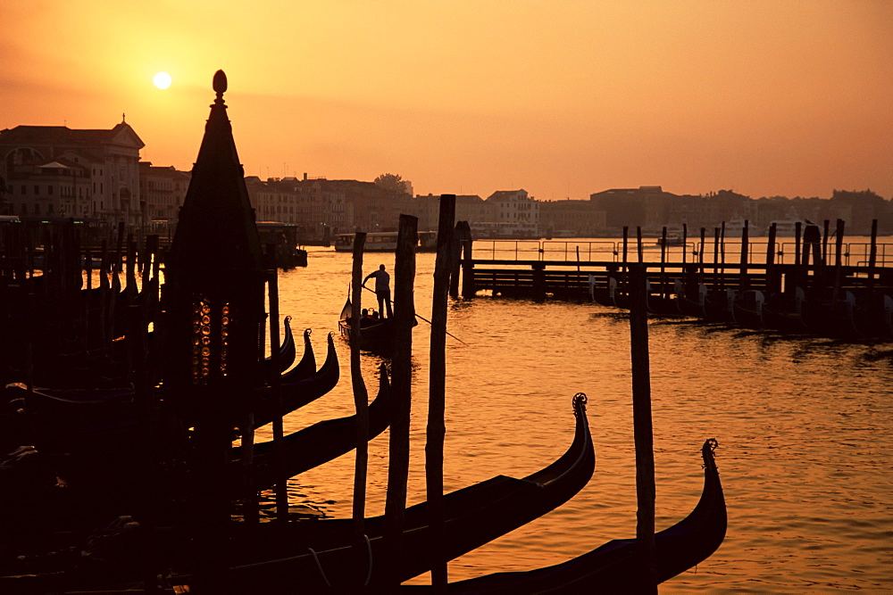 Row of gondolas at dawn, San Marco (St. Mark's), Venice, Veneto, Italy, Europe