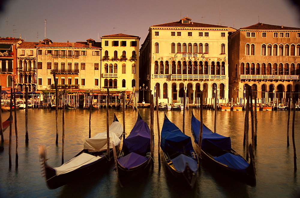 Gondolas and houses, Grand Canal, Venice, Veneto, Italy, Europe