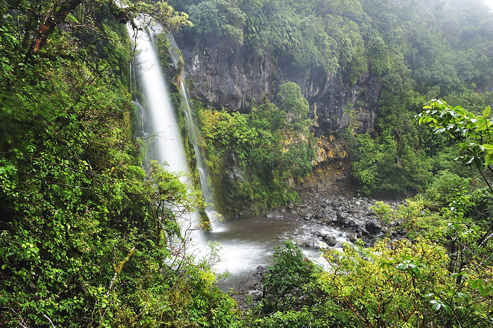 Dawson Falls, Mount Taranaki National Park (Mount Egmont National Park), Taranaki, North Island, New Zealand, Pacific