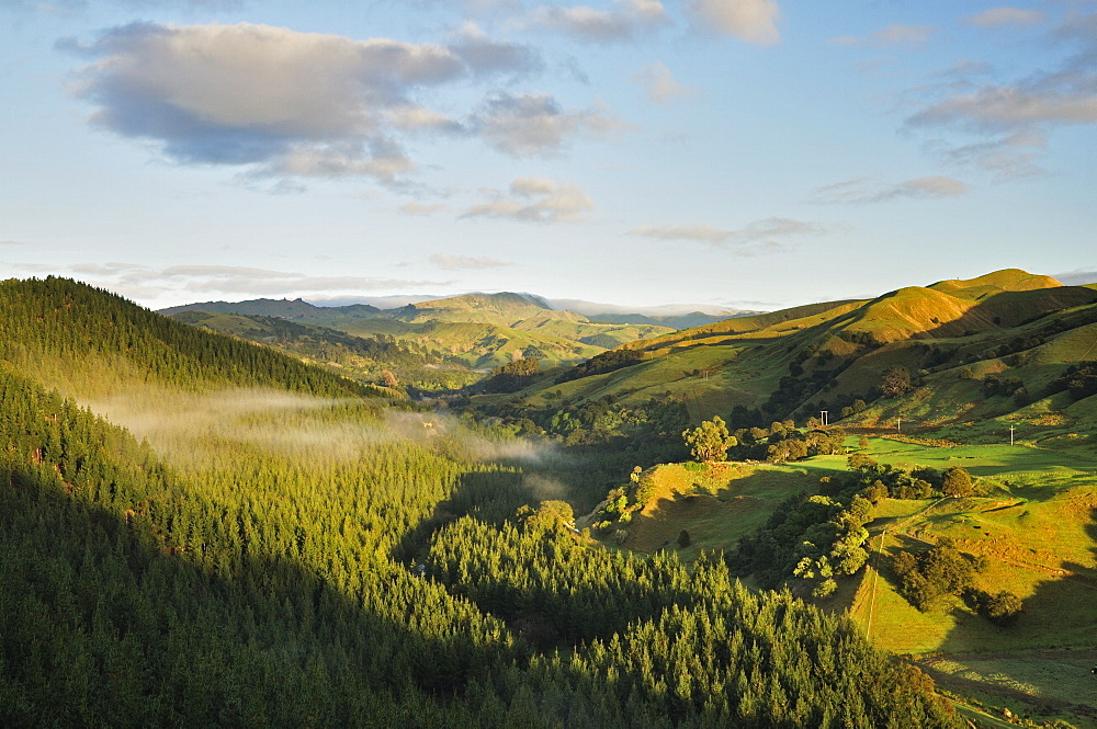 Farmland near Taraka, Gisborne, North Island, New Zealand, Pacific