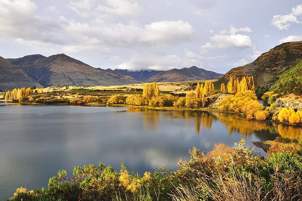 Glendhu Bay, Lake Wanaka, Otago, South Island, New Zealand, Pacific