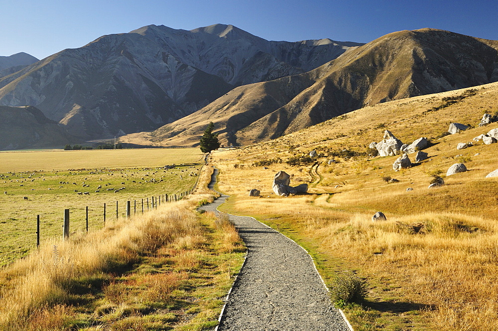 Castle Hill, Canterbury high country, South Island, New Zealand, Pacific