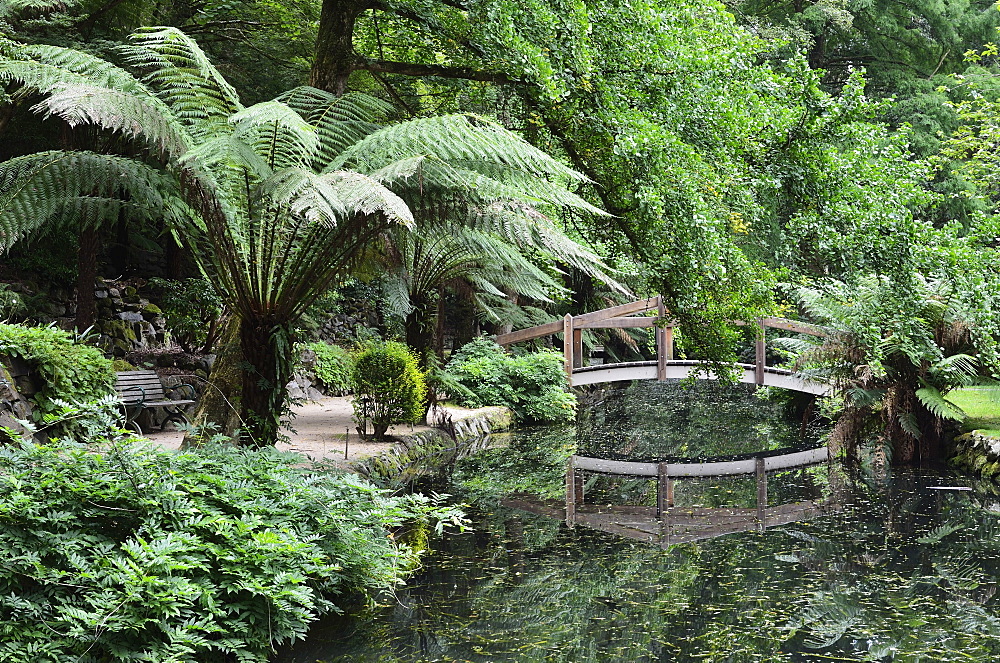 Alfred Nicholas Gardens, Dandenong Ranges National Park, Dandenong Ranges, Victoria, Australia, Pacific