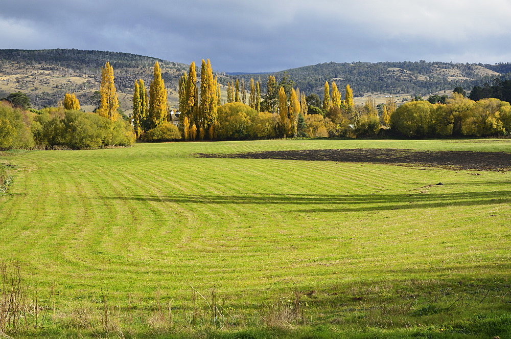 Farmland, Bushy Park, Tasmania, Australia, Pacific