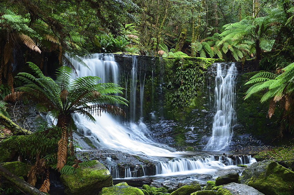 Horseshoe Falls, Mount Field National Park, UNESCO World Heritage Site, Tasmania, Australia, Pacific