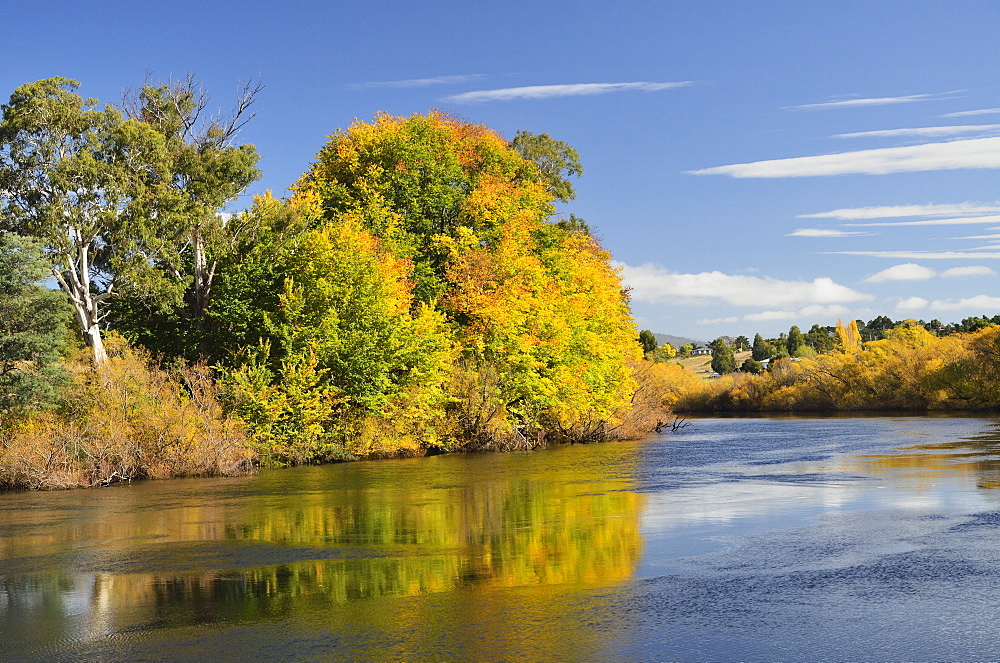 River Derwent near New Norfolk, Tasmania, Australia, Pacific