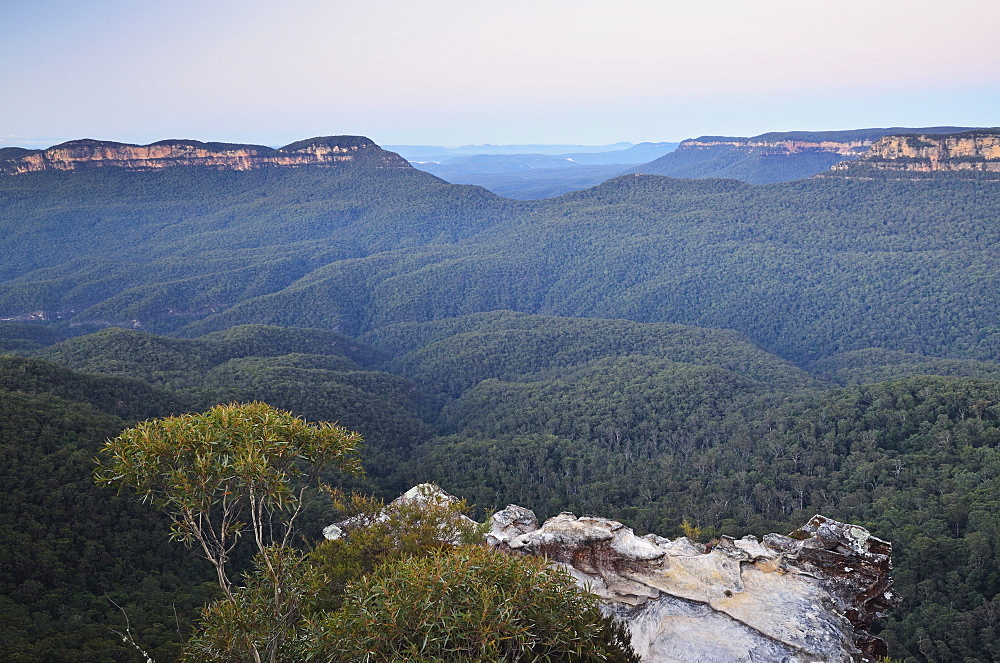 Mount Solitary and Jamison Valley, Blue Mountains, Blue Mountains National Park, UNESCO World Heritage Site, New South Wales, Australia, Pacific