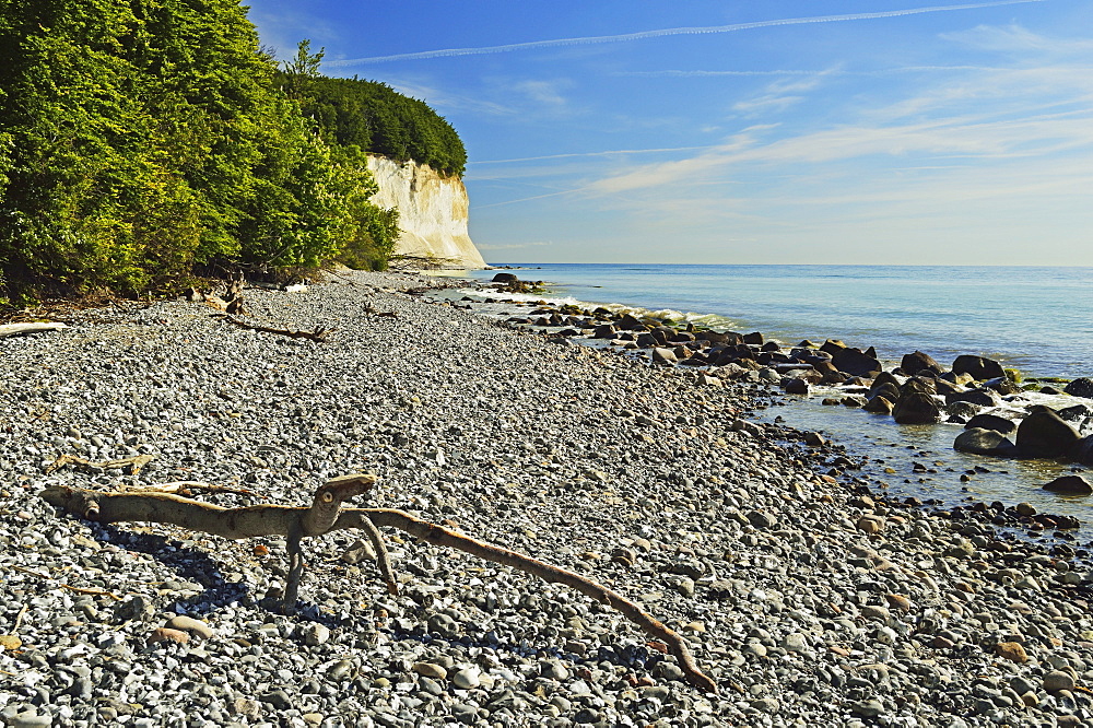 Chalk cliffs, Jasmund National Park, Ruegen Island, Mecklenburg-Vorpommern, Germany, Europe