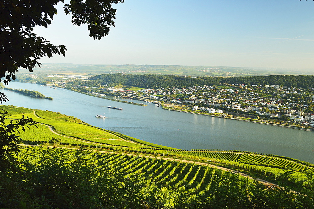 View of Bingen and River Rhine, Rhineland-Palatinate, Germany, Europe 