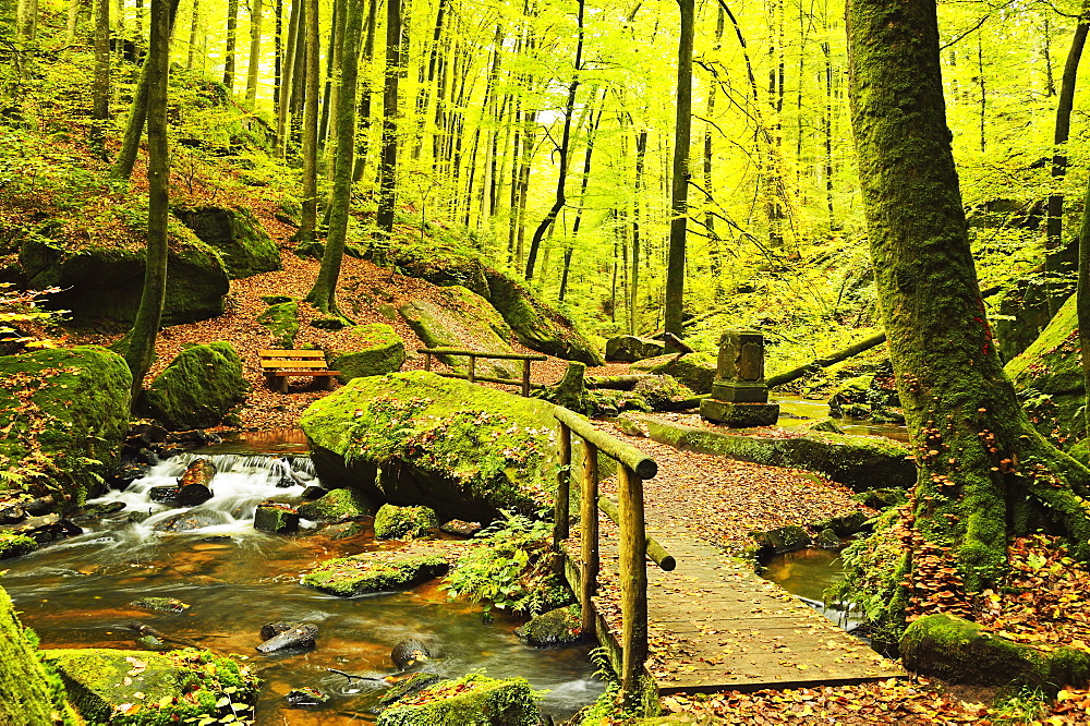 Karlstal gorge, near Trippstadt, Palatinate Forest, Rhineland-Palatinate, Germany, Europe 