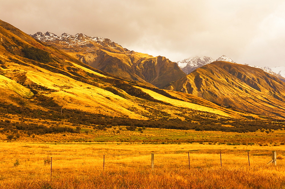 Pasture and Ben Ohau Range, Canterbury, South Island, New Zealand, Pacific