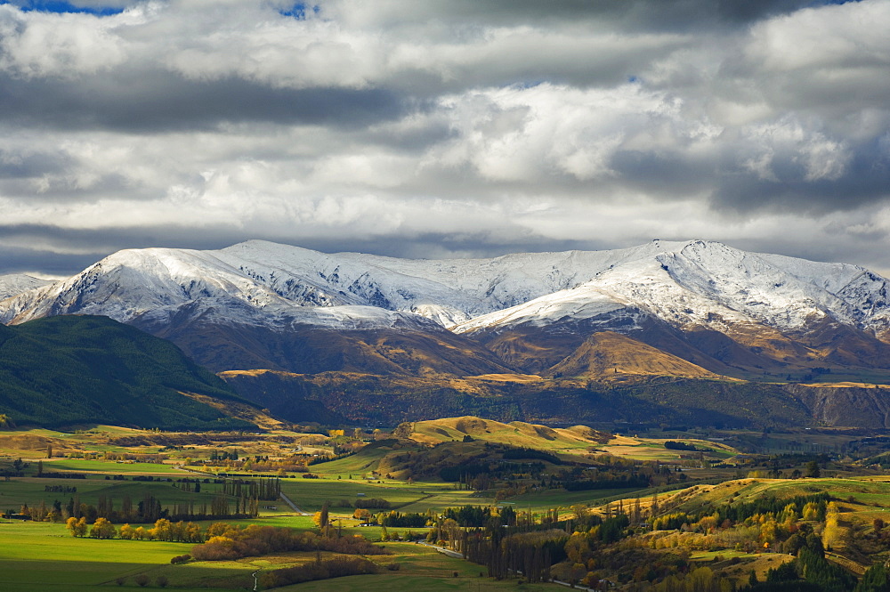 Farmland in autumn, Queenstown, Central Otago, South Island, New Zealand, Pacific