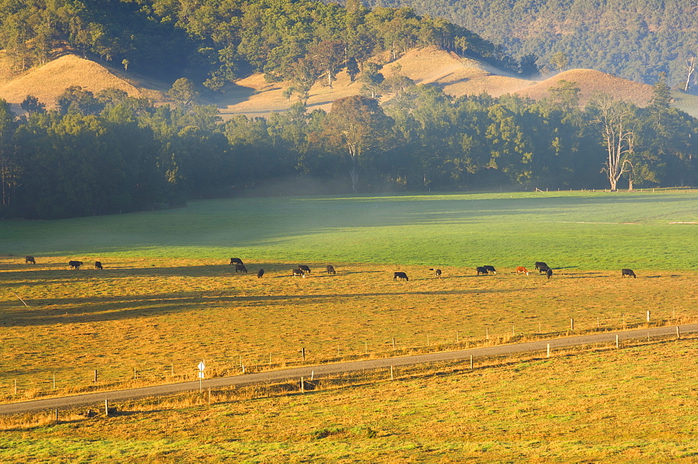 Farmland, Mount Lion, New South Wales, Australia, Pacific