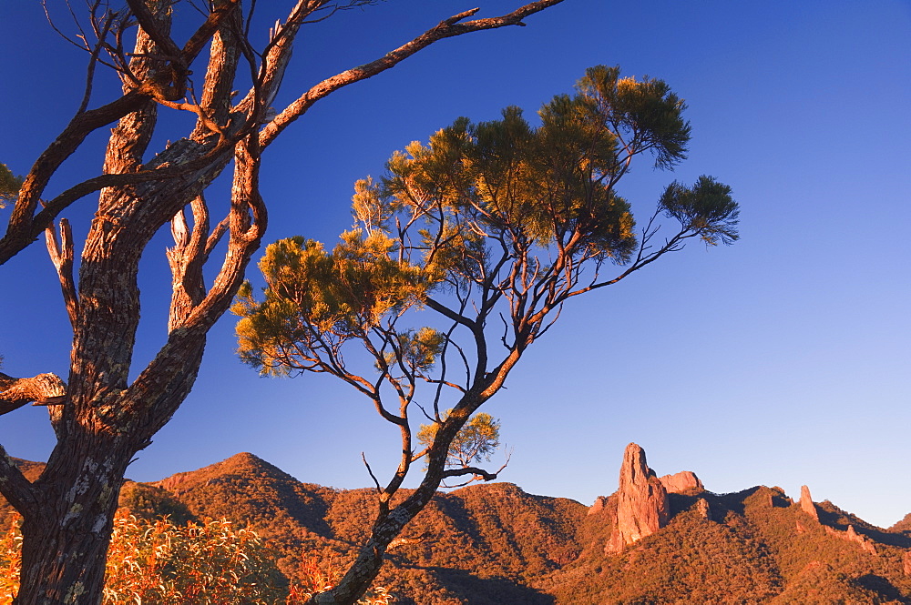 Crater Bluff and Breadknife from Macha Tor, Warrumbungle National Park, New South Wales, Australia, Pacific