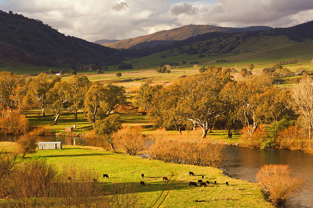 Murray River, near Towong, Victoria, Australia, Pacific