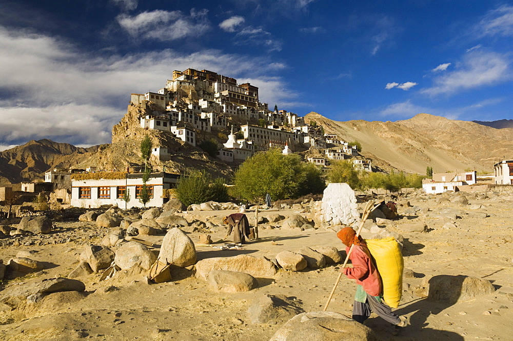 Tikse (Tiksay) gompa (monastery), Tikse (Tiksay), Ladakh, Indian Himalayad, India, Asia