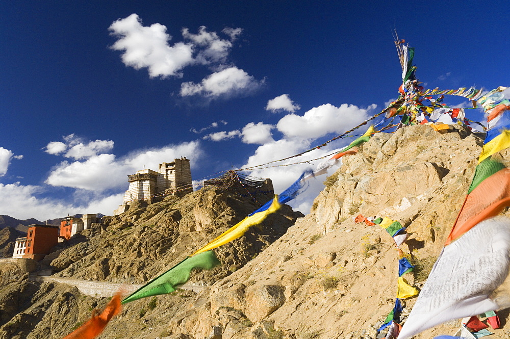 Prayer flags on the Peak of Victory and Namgyal Tsemo gompa (monastery), Leh, Ladakh, Indian Himalayas, India, Asia