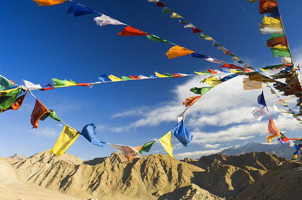 Prayer flags on the Peak of Victory, Leh, Ladakh, Indian Himalayas, India, Asia