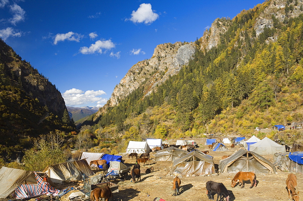 Tent camp, Yading Nature Reserve, Sichuan Province, China, Asia