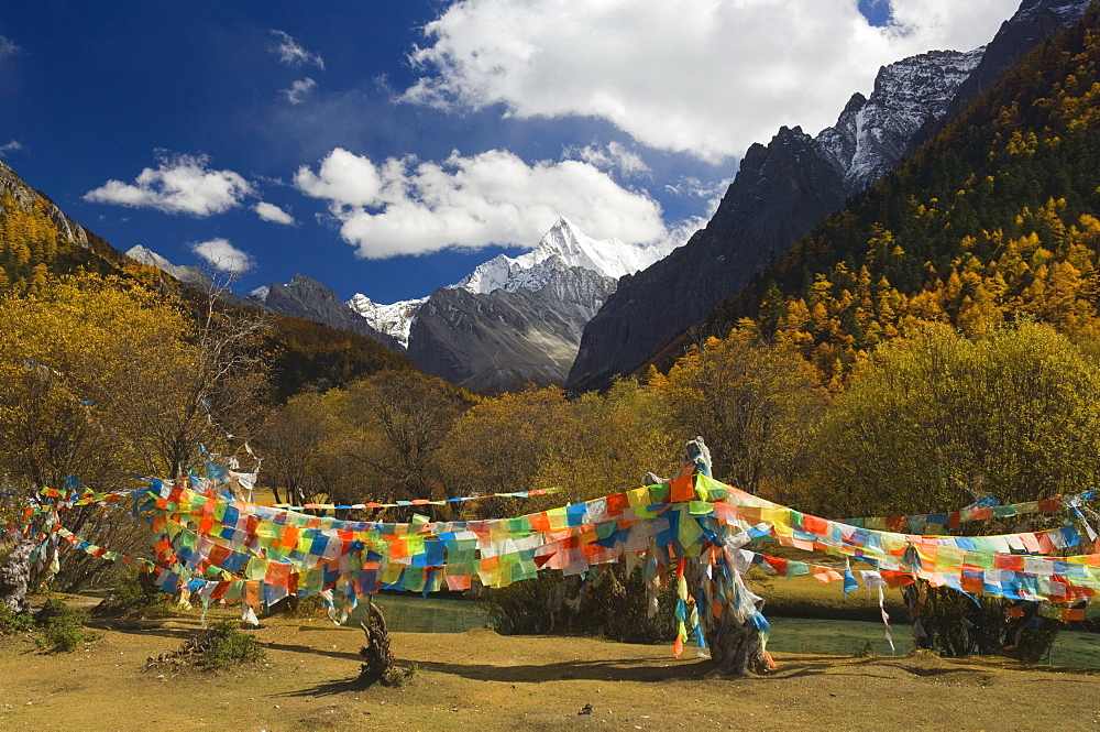 Prayer flags and Xiaruoduojio mountain, Yading Nature Reserve, Sichuan Province, China, Asia