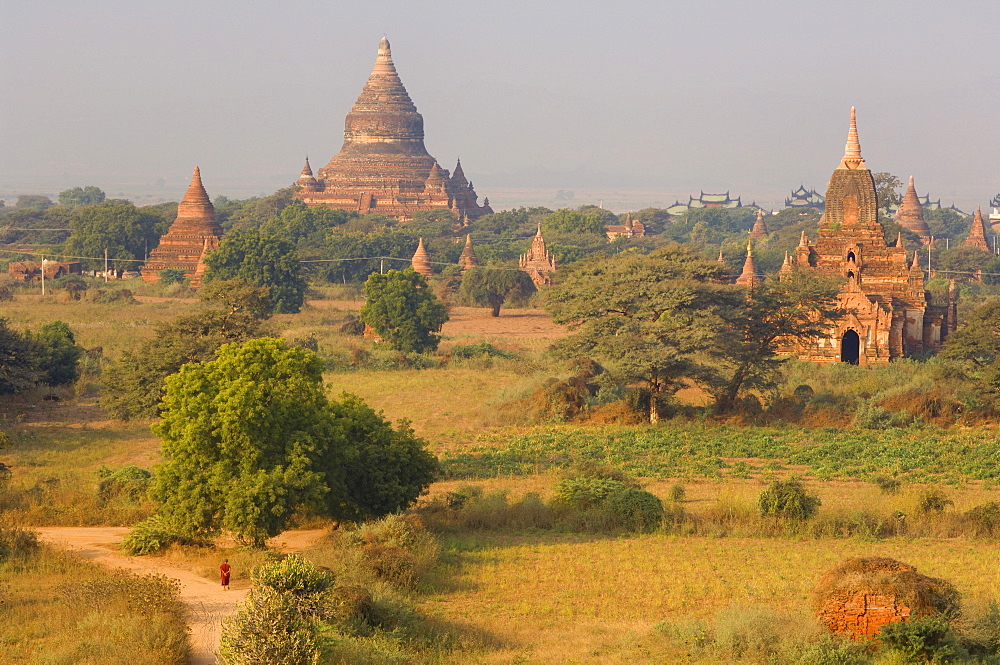 Pe-nan-tha Group, Bagan (Pagan), Myanmar (Burma), Asia