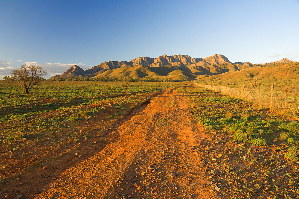 Flinders Ranges, Flinders Ranges National Park, South Australia, Australia, Pacific