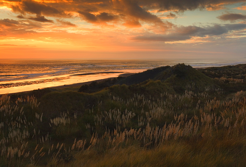 Sunset, Ocean Beach, Kawhia, North Island, New Zealand, Pacific