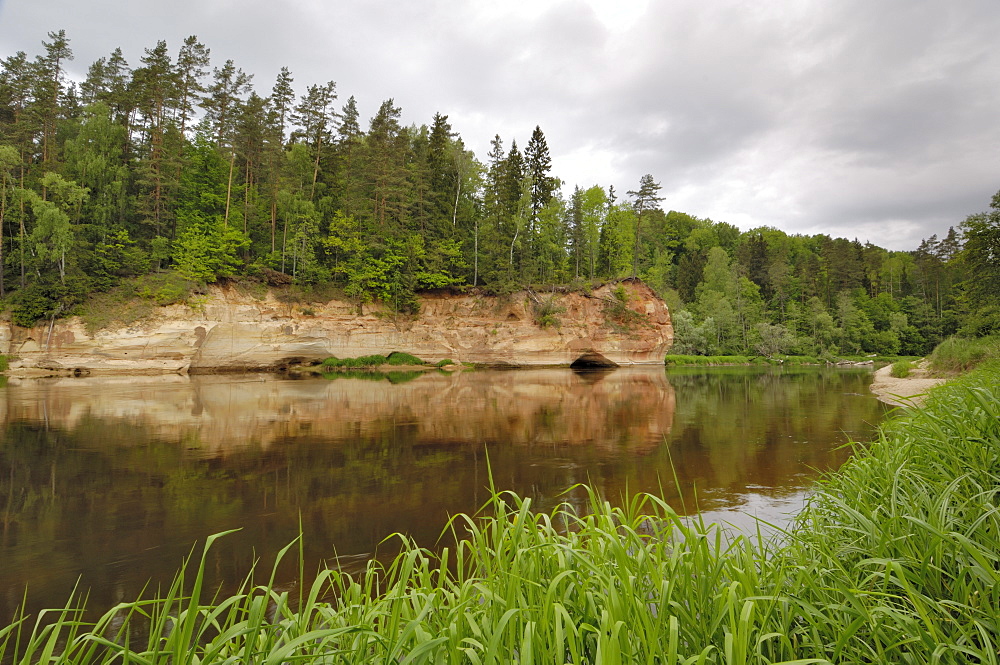 Sandstone cliff alongside the River Gauja, near Ligatne, Gauja National Park, Latvia, Baltic States, Europe