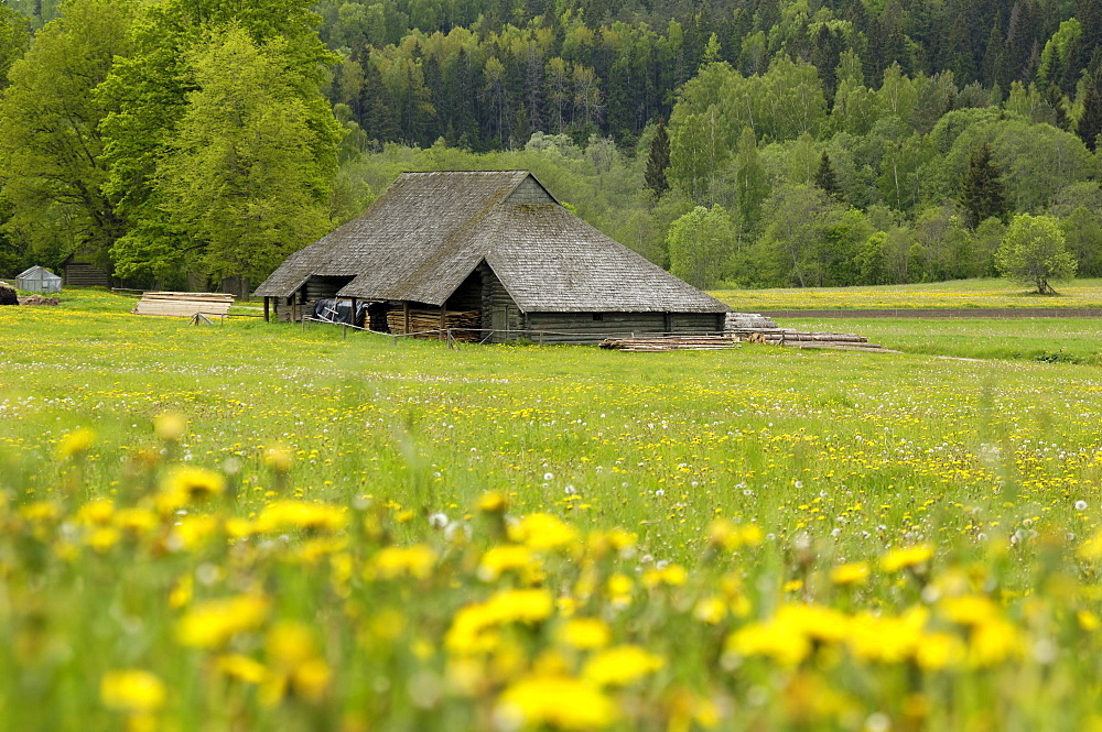 Typical Latvian farmstead, near Ligatne, Gauja National Park, Latvia, Baltic States, Europe