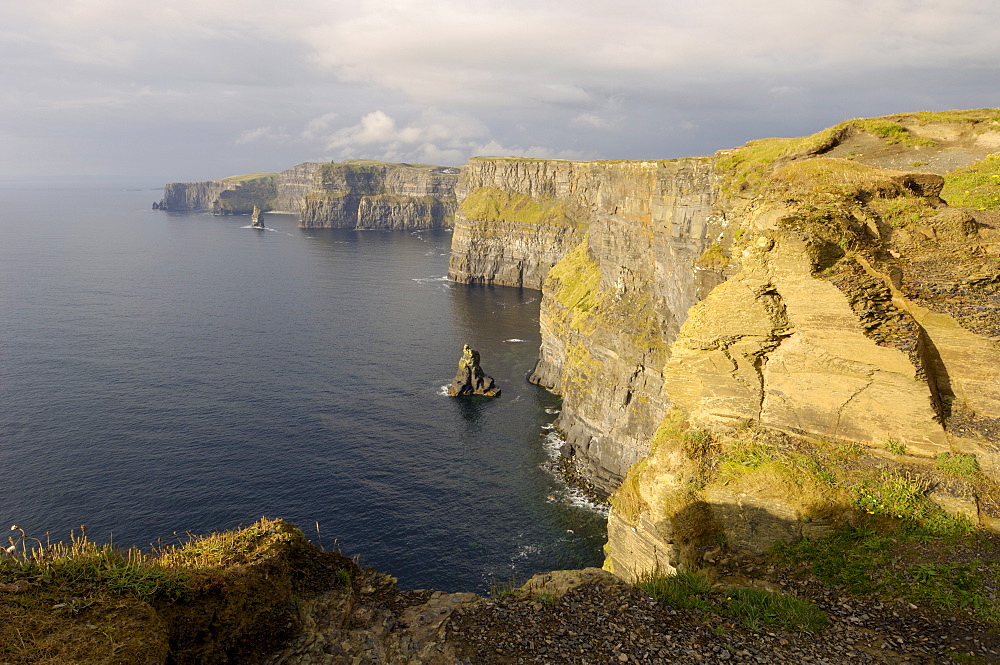 Cliffs of Moher, County Clare, Munster, Republic of Ireland (Eire), Europe