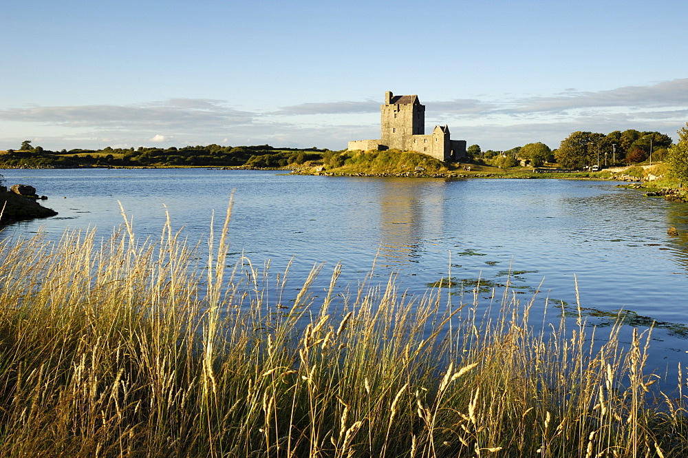 Dunguaire (Dungory) Castle, Kinvarra, County Galway, Connacht, Republic of Ireland (Eire), Europe