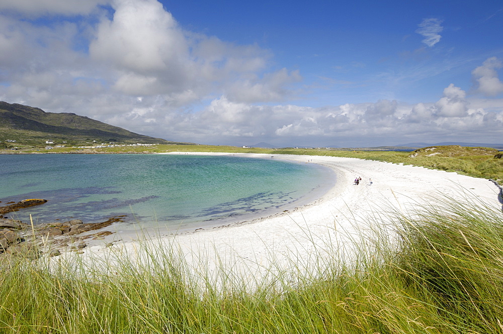 Dogs Bay, Connemara, County Galway, Connacht, Republic of Ireland, Europe