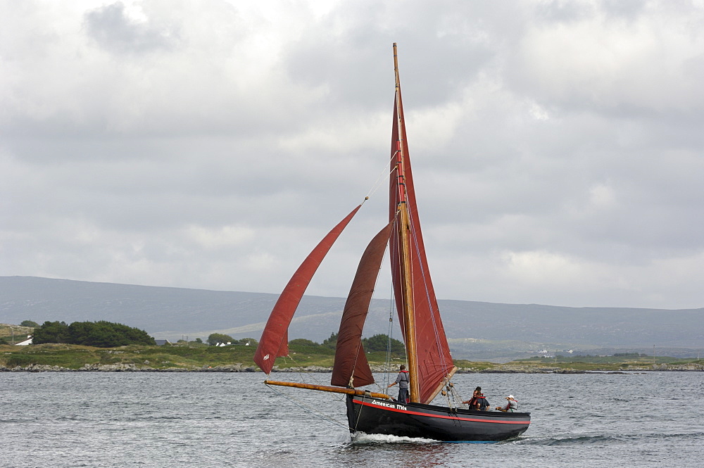 Galway hookers at Roundstone Regatta, Connemara, County Galway, Connacht, Republic of Ireland, Europe