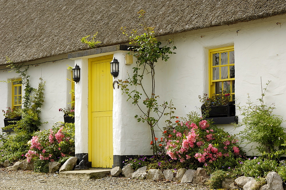 Thatched cottages, Ballyvaughan, County Clare, Munster, Republic of Ireland, Europe