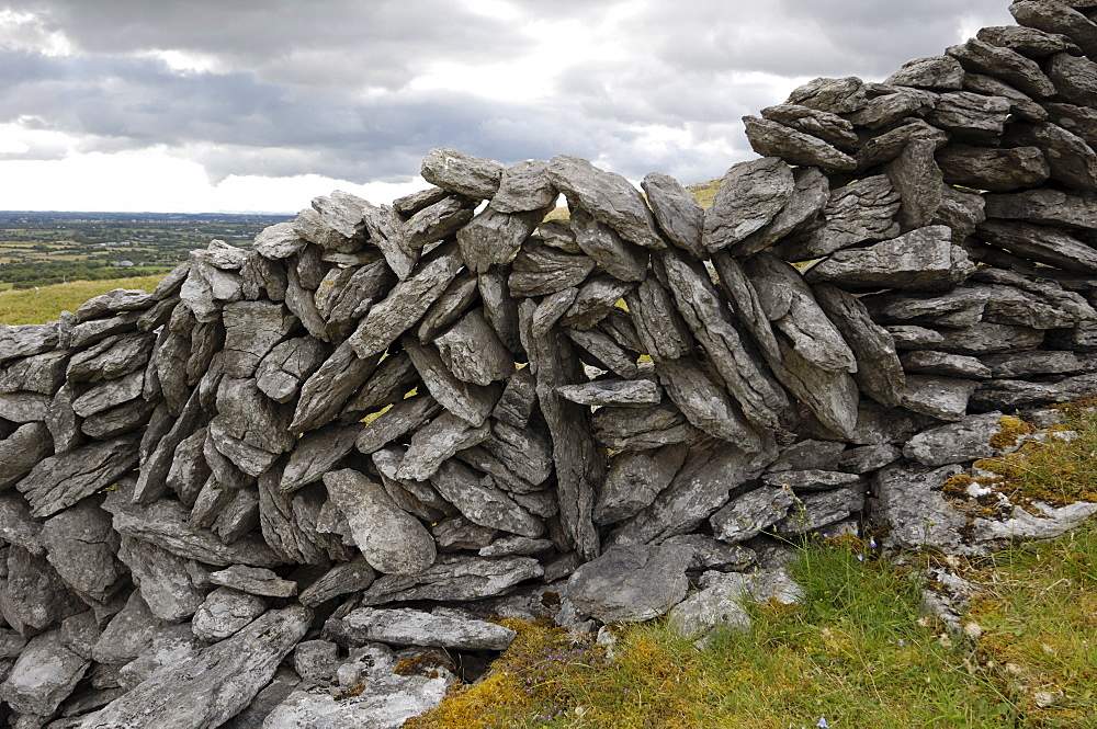 Dry stone wall on The Burren, County Clare, Munster, Republic of Ireland, Europe