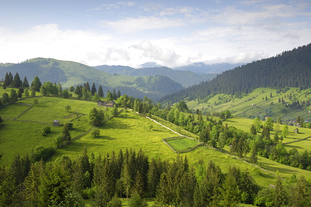 Carpathian mountains north of Campulung Moldovenesc, Moldavia, Southern Bucovina, Romania, Europe