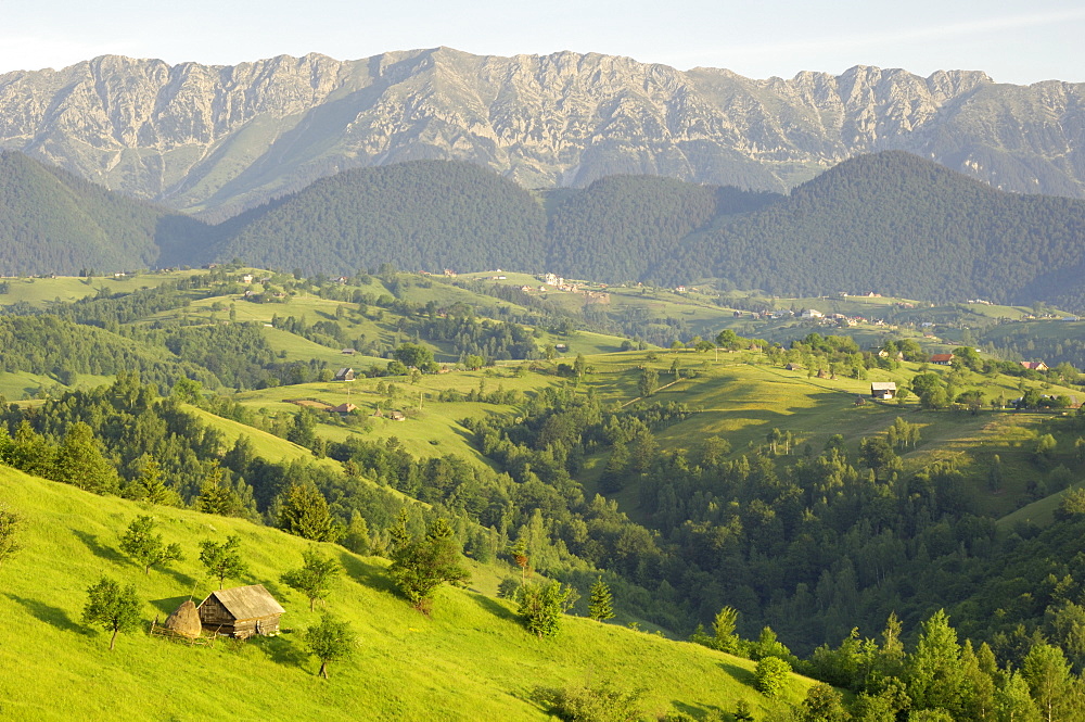 Transylvanian Alps, near Fundata, Transylvania, Romania, Europe