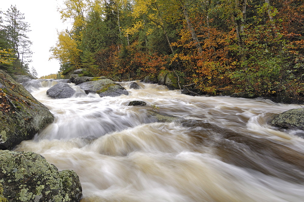 Rapids between Mora Lake and Little Saganaga Lake, Boundary Waters Canoe Area Wilderness, Superior National Forest, Minnesota, United States of America, North America