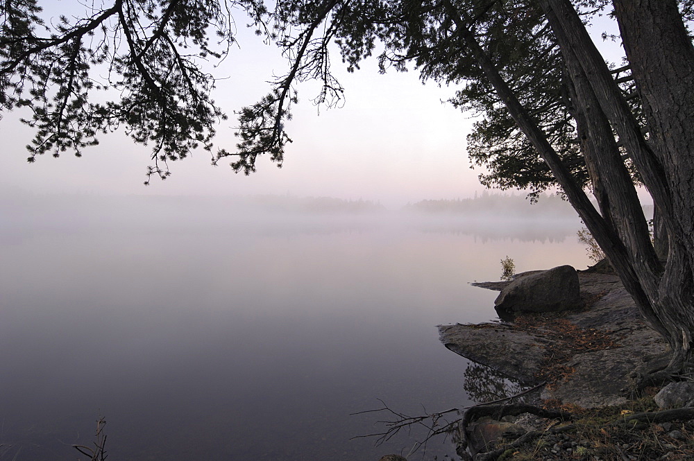 Misty morning, Malberg Lake, Boundary Waters Canoe Area Wilderness, Superior National Forest, Minnesota, United States of America, North America