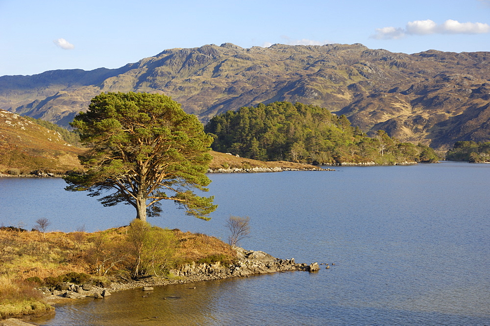 Loch Morar, Highlands, Scotland, United Kingdom, Europe