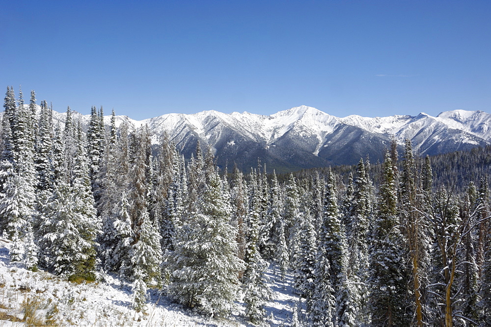 Bolder Mountains in first winter snow, near Galena, Rocky Mountains, Idaho, United States of America, North America