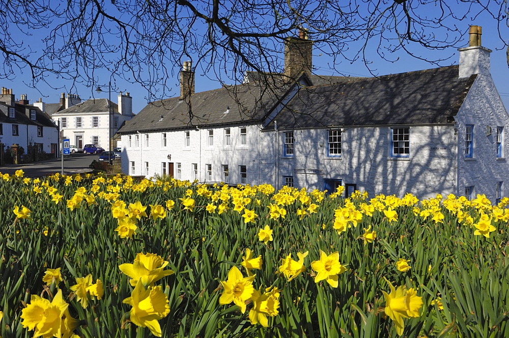 Kirkcudbright, Dumfries and Galloway, Scotland, United Kingdom, Europe