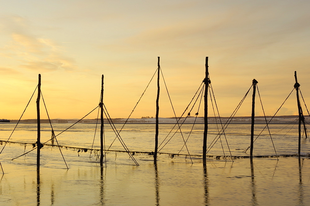 Salmon fishing nets, Solway Firth, near Creetown, Dumfries and Galloway, Scotland, United Kingdom, Europe