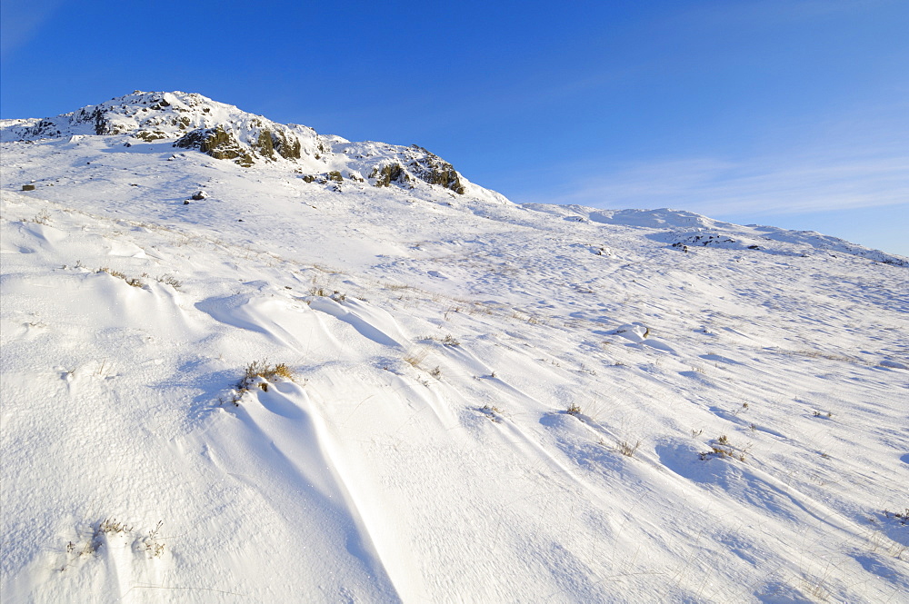 Buchan Hill in winter snow, Galloway Hills, Dumfries and Galloway, Scotland, United Kingdom, Europe