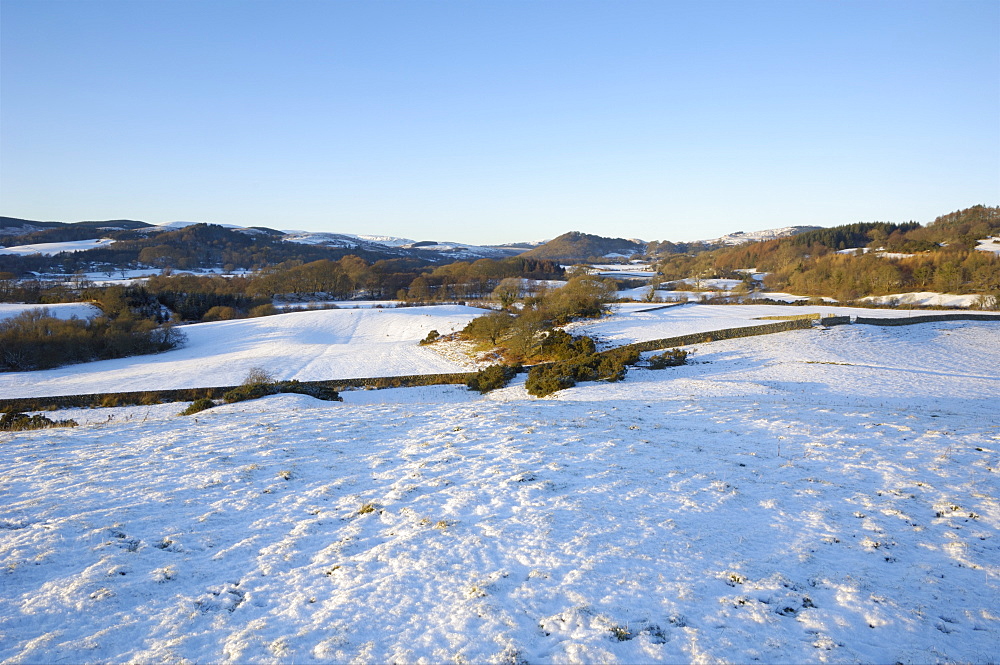 Fleet Valley National Scenic Area in winter snow, Dumfries and Galloway, Scotland, United Kingdom, Europe