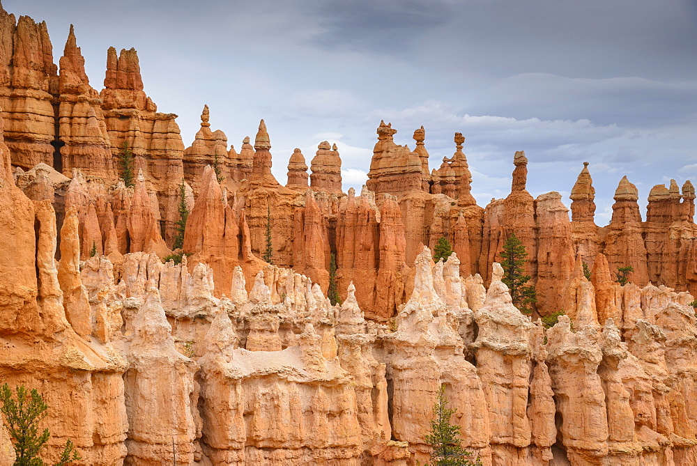 Bryce Canyon at dawn, from Sunset Point, Bryce Canyon National Park, Utah, United States of America, North America