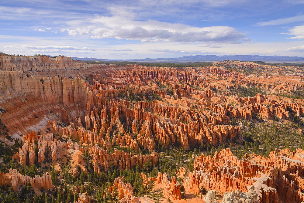 Bryce Canyon at dawn, from Sunset Point, Bryce Canyon National Park, Utah, United States of America, North America