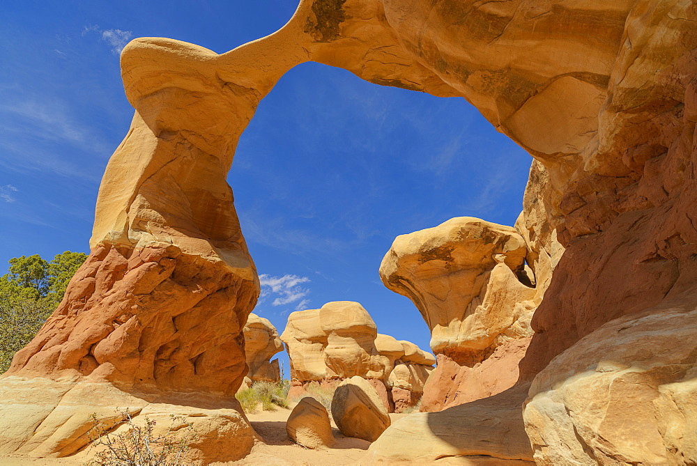 Metate Arch, Devils Garden, Grand Staircase Escalante National Monument, Utah, United States of America, North America