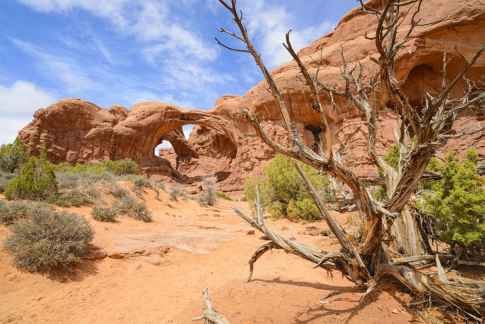 Double Arch, Windows Section, Arches National Park, Utah, United States of America, North America