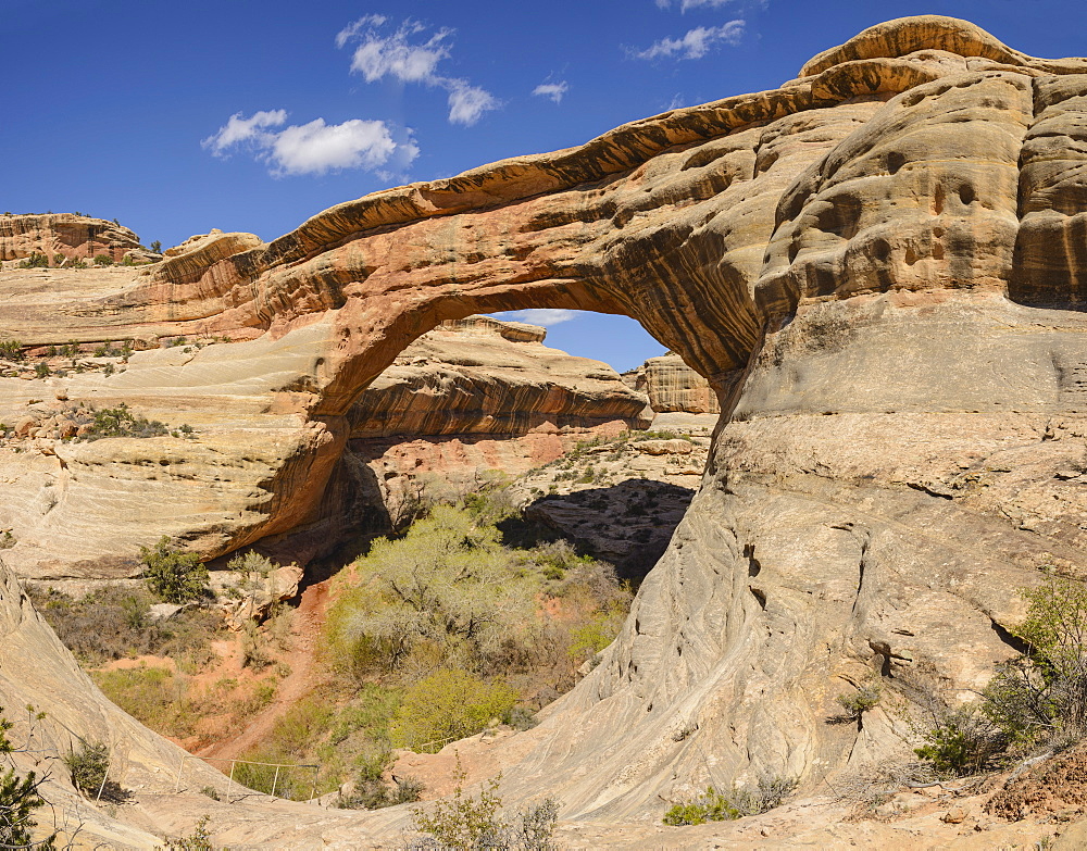 Sipapu Bridge, Natural Bridges National Monument, Utah, United States of America, North America